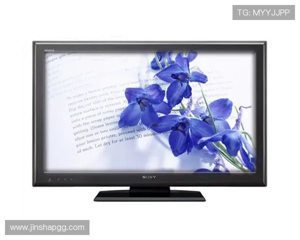 电视直播在线观看大全：热门频道一网打尽